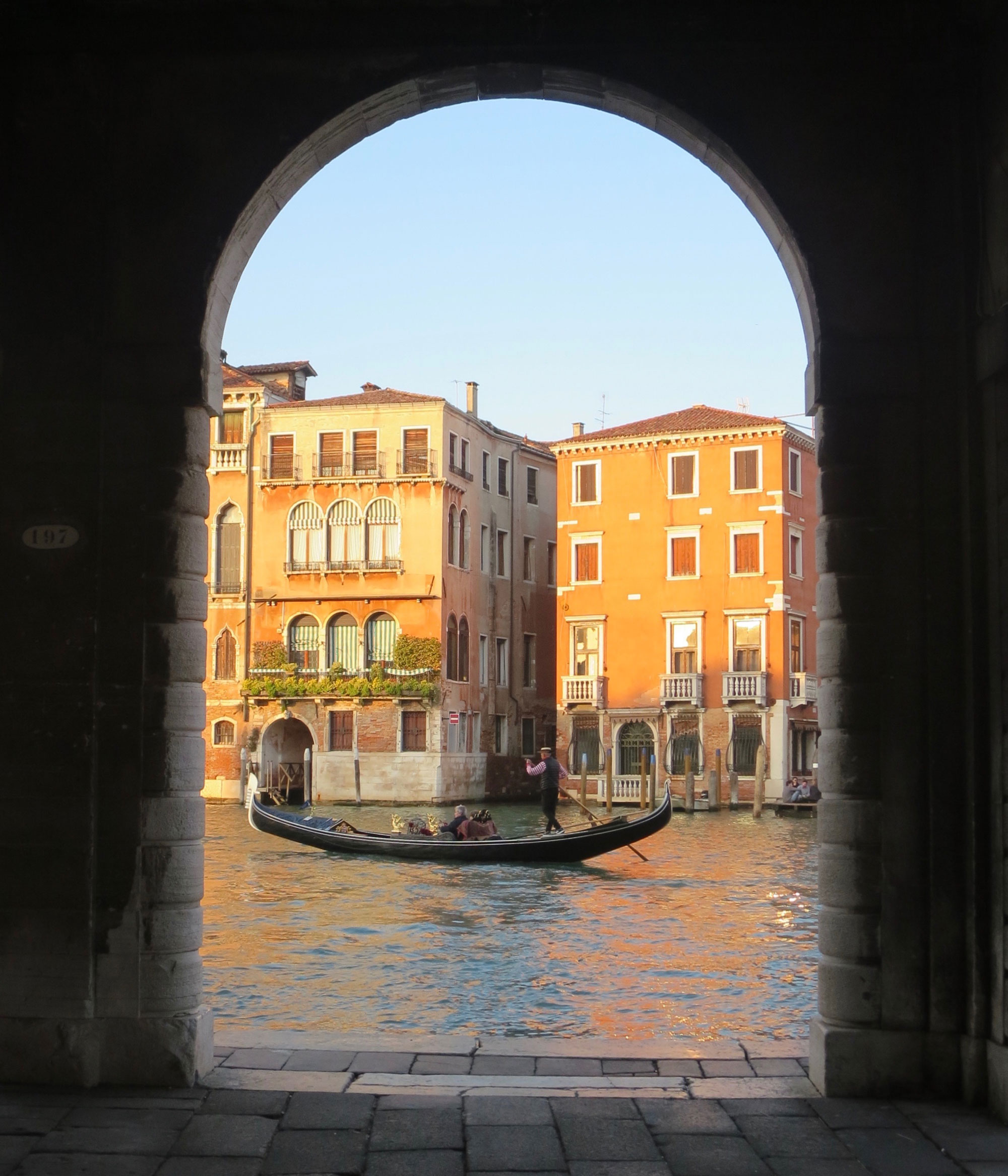 msu study abroad essay contest msu study abroad essay contest