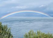 Rainbow over Dingle Bay